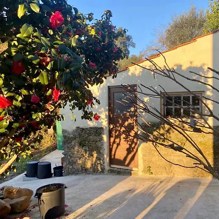 Relaxscape Guest house