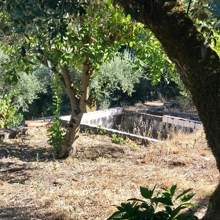 Casa de hóspedes Relaxscape Tomar