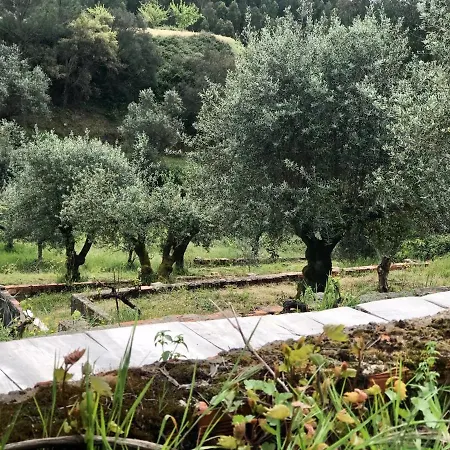 Relaxscape Casa de hóspedes 4*