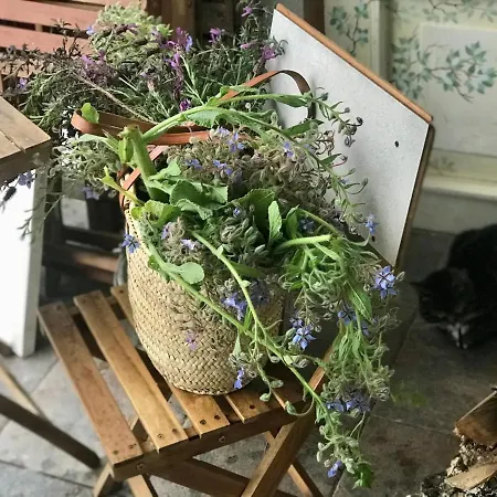 Relaxscape Гостевой дом