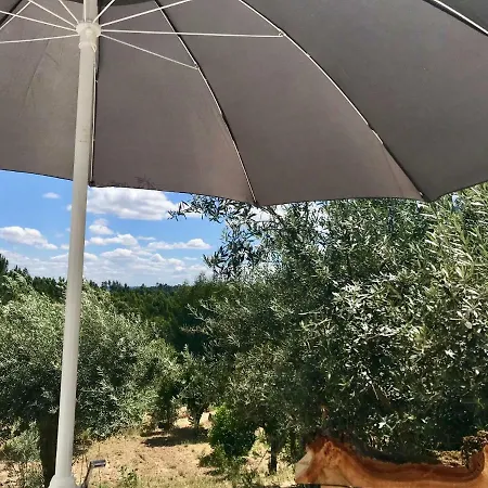 Relaxscape Томар