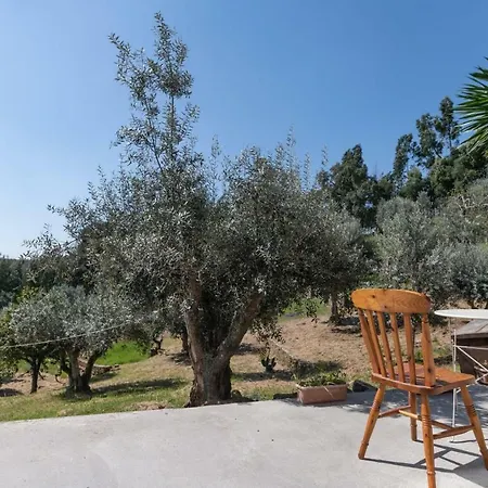 Relaxscape 4* Томар