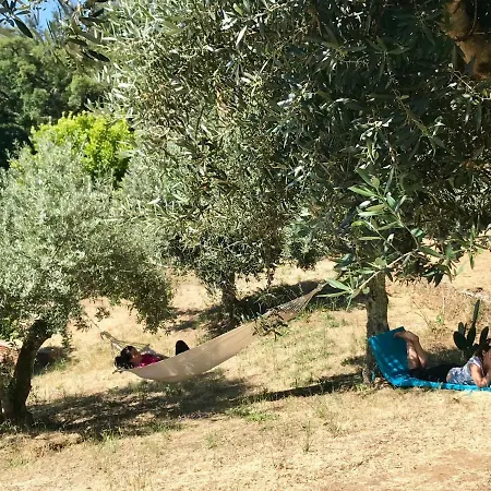 Relaxscape