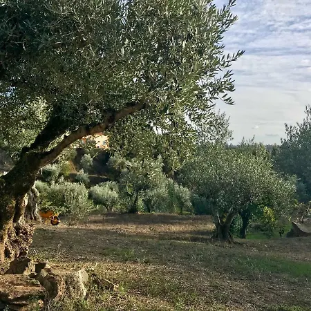 Relaxscape Casa de hóspedes Tomar