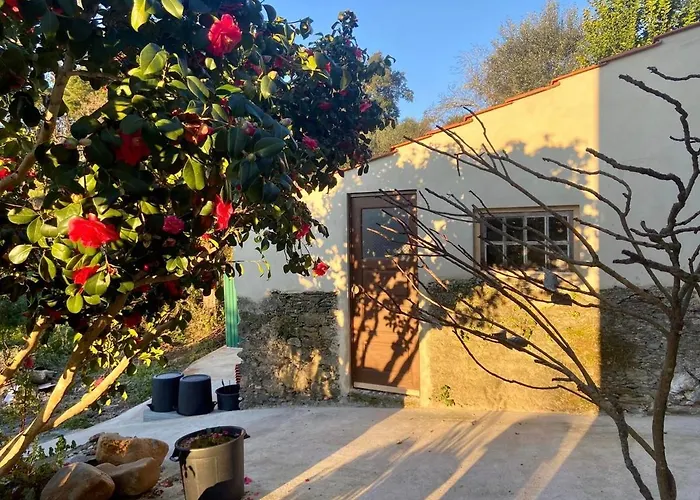 Relaxscape ゲストハウス