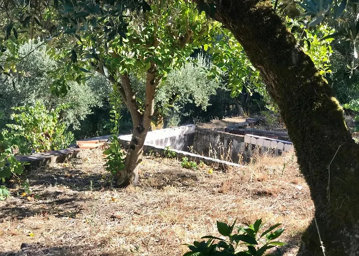 ゲストハウス Relaxscape トマール