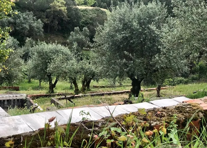 Relaxscape ゲストハウス 4*