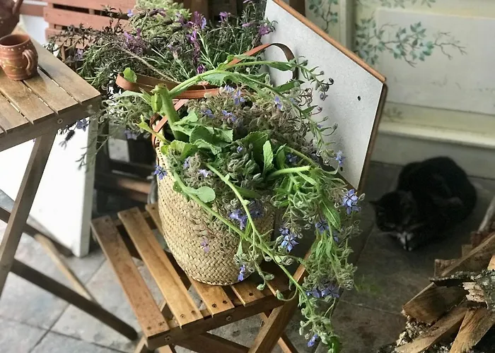 Relaxscape ゲストハウス