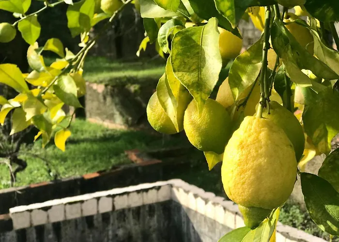 Relaxscape ゲストハウス 4*