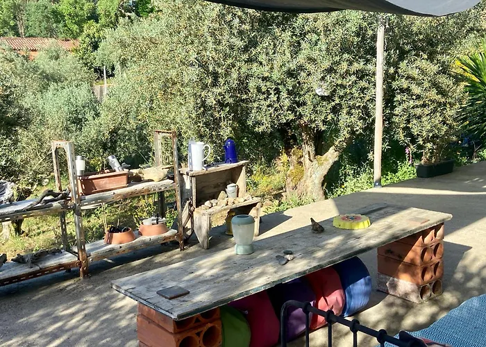 Relaxscape トマール