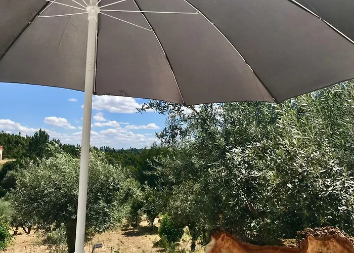 Relaxscape トマール