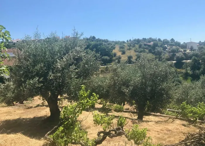 ゲストハウス Relaxscape