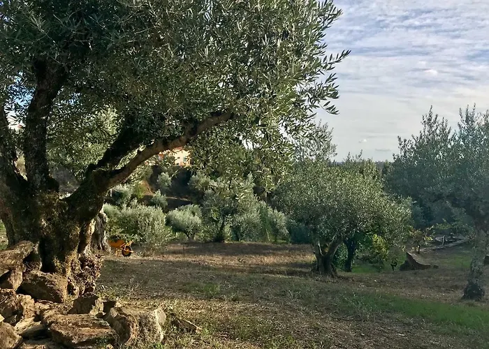 Relaxscape ゲストハウス トマール